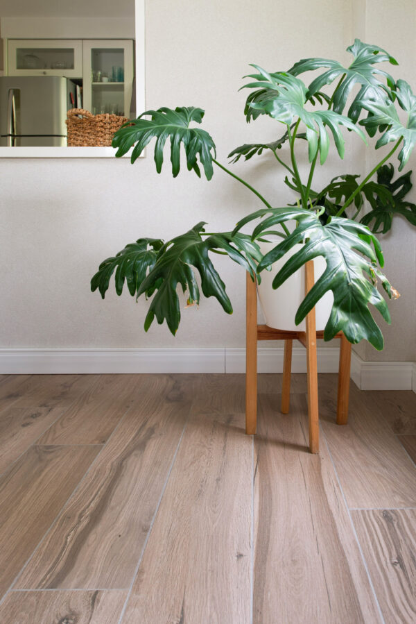 Eco Wood - Rovere - Imagen 4